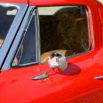 1963-Corvette-Sting-Ray-injection-18