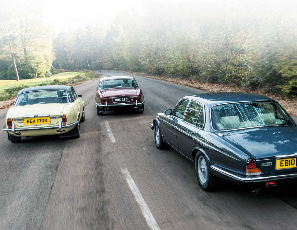 Jaguar luxury class: Series 1 XJ leads a Series 2 Daimler Sovereign Coupé and Series 3 V12