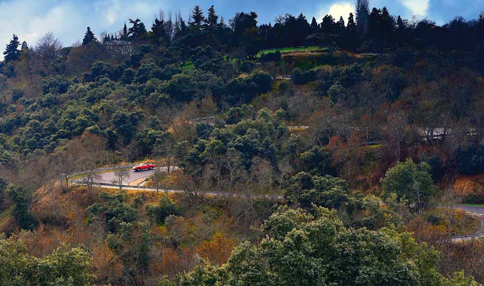 1966 Alfa Romeo Duetto 1600